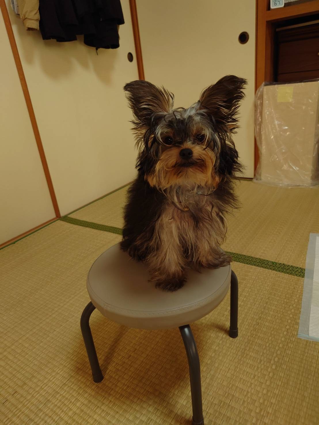 2026年10月22日 ノア日記の写真1